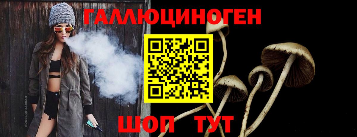Кизилюрт  Галлюциногенные грибы прущие грибы  Вход с VPN 